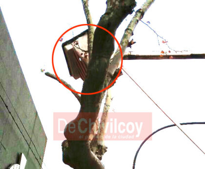 Un trabajador municipal internado en terapia intensiva debido a un accidente Un trabajador municipal internado en terapia intensiva debido a un accidente