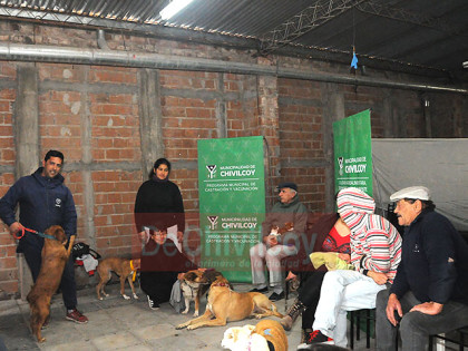 Castraciones de perros y gatos en la Sociedad de Fomento Barrio Sur Castraciones de perros y gatos en la Sociedad de Fomento Barrio Sur