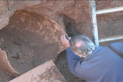 Se confirmó que los fósiles encontrados en Alberti eran de un gliptodonte Se confirmó que los fósiles encontrados en Alberti eran de un gliptodonte