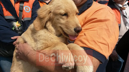Defensa Civil cuenta con un perro de búsqueda y rescate de personas vivas Defensa Civil cuenta con un perro de búsqueda y rescate de personas vivas