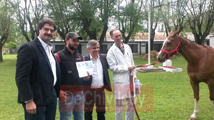 Lanzamiento del DUE Documento Único Equino Lanzamiento del DUE Documento Único Equino