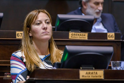 Arata cuestionó el endeudamiento y la fuerte presión impositiva en el Presupuesto 2017 item-thumbnail