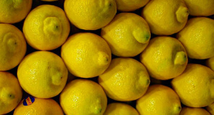 Trump frenó la importación de limones argentinos por 60 días Trump frenó la importación de limones argentinos por 60 días