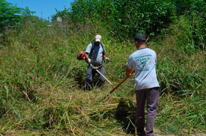 Limpieza de terrenos baldíos y veredas Limpieza de terrenos baldíos y veredas