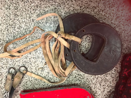 Secuestran una montura robada y demás elementos de campo Secuestran una montura robada y demás elementos de campo