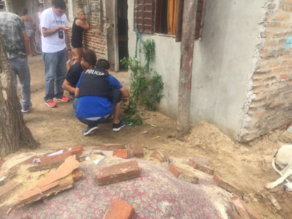 Secuestran una planta de marihuana en un domicilio Secuestran una planta de marihuana en un domicilio