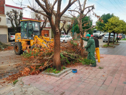 El municipio trabaja sobre las zonas afectadas por el temporal El municipio trabaja sobre las zonas afectadas por el temporal