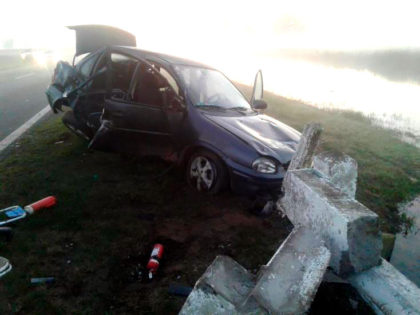 Ruta 5: Se despistó por esquivar un carpincho, una persona fallecida Ruta 5: Se despistó por esquivar un carpincho, una persona fallecida