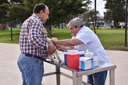 Campaña de vacunación antirrábica Campaña de vacunación antirrábica