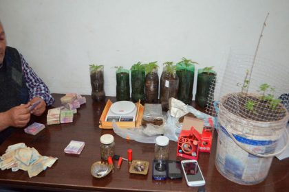 Secuestran un kilo y medio de marihuana en un allanamiento Secuestran un kilo y medio de marihuana en un allanamiento