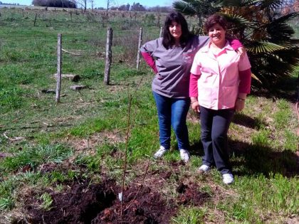 Las delegaciones rurales recibieron plantas de durazno Las delegaciones rurales recibieron plantas de durazno