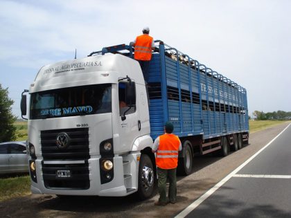 SENASA: Inspecciones sanitarias en ruta SENASA: Inspecciones sanitarias en ruta