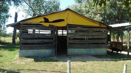 Grave hecho de vandalismo en la Escuela Agraria. Aparecieron aves degolladas Grave hecho de vandalismo en la Escuela Agraria. Aparecieron aves degolladas