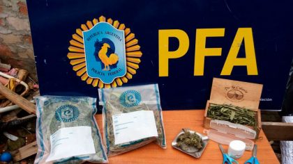 La Policía Federal Argentina decomisó un vivero de marihuana La Policía Federal Argentina decomisó un vivero de marihuana