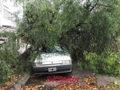 Primeras imágenes de los daños que dejó el temporal de ayer Primeras imágenes de los daños que dejó el temporal de ayer